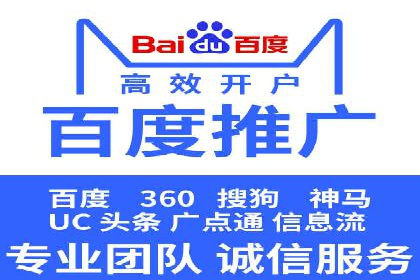 某某sem推广公司在某行业的应用与效果分析
